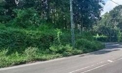 เดเตเดฐเดพเดฎเตเดฃ เดฑเตเดกเตเดเดณเตโ เดฆเตเดถเตเดฏ เดชเดพเดค เดจเดฟเดฒเดตเดพเดฐเดคเตเดคเดฟเดฒเตเดเตเดเต; เดเดฑเดฃเดพเดเตเดณเด เดเดฟเดฒเตเดฒเดฏเดฟเดฒเตโ เดเตเดเตเดคเดฒเตโ เดฒเดฟเดเตเดเต เดฑเตเดกเตเดเดณเตโ เดเตเดฐเดพเดฎเตเดฃ เดฑเตเดกเตเดเดณเตโ เดฆเตเดถเตเดฏ เดชเดพเดค เดจเดฟเดฒเดตเดพเดฐเดคเตเดคเดฟเดฒเตเดเตเดเต; เดเดฑเดฃเดพเดเตเดณเด เดเดฟเดฒเตเดฒเดฏเดฟเดฒเตโ เดเตเดเตเดคเดฒเตโ เดฒเดฟเดเตเดเต เดฑเตเดกเตเดเดณเตโ