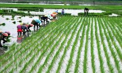 เดซเดฃเตเดเดฟเดฒเตเดฒ; เดเดพเตผเดทเดฟเด เดคเตเดดเดฟเตฝเดฆเดพเดจ เดชเดฆเตเดงเดคเดฟเดฏเดฟเดฒเต เดชเตเตปเดทเตป เดตเดฟเดคเดฐเดฃเด เดฎเตเดเดเตเดเดฟ เดซเดฃเตเดเดฟเดฒเตเดฒ; เดเดพเตผเดทเดฟเด เดคเตเดดเดฟเตฝเดฆเดพเดจ เดชเดฆเตเดงเดคเดฟเดฏเดฟเดฒเต เดชเตเตปเดทเตป เดตเดฟเดคเดฐเดฃเด เดฎเตเดเดเตเดเดฟ