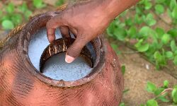 കള്ളില്‍ കഞ്ചാവ് കലര്‍ത്തി വില്‍പന; 25 ഷാപ്പുകള്‍ക്കെതിരെ കേസ്