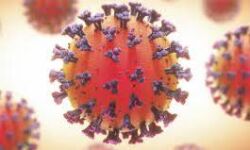 കൊവിഡ് 19: മലപ്പുറം ജില്ലയില് 3,300 പേര്ക്ക് വൈറസ് ബാധ;3,297 പേര്ക്ക് രോഗമുക്തി കൊവിഡ് 19: മലപ്പുറം ജില്ലയില് 3,300 പേര്ക്ക് വൈറസ് ബാധ;3,297 പേര്ക്ക് രോഗമുക്തി