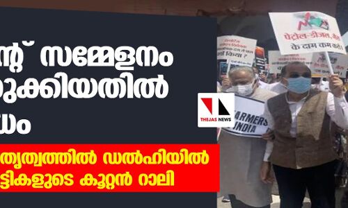 പാര്‍ലമെന്റ് സമ്മേളനം വെട്ടിച്ചുരുക്കിയതില്‍ പ്രതിഷേധം; രാഹുലിന്റെ നേതൃത്വത്തില്‍ ഡല്‍ഹിയില്‍ പ്രതിപക്ഷ പാര്‍ട്ടികളുടെ കൂറ്റന്‍ റാലി