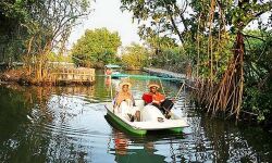 മല്സ്യഫെഡിന്റെ അക്വാ ടൂറിസം സെന്ററുകള് 14ന് തുറക്കും മല്സ്യഫെഡിന്റെ അക്വാ ടൂറിസം സെന്ററുകള് 14ന് തുറക്കും