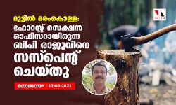 മുട്ടിൽ മരംകൊള്ള: ഫോറസ്റ്റ് സെക്ഷൻ ഓഫീസറായിരുന്ന ബിപി രാജുവിനെ സസ്പെന്റ് ചെയ്തു