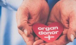 เดฎเตเดคเดธเดเตเดเตเดตเดจเดฟ เด
เดตเดฏเดตเดฆเดพเดจ เดชเดฆเตเดงเดคเดฟ เดตเดดเดฟ เด
เดตเดฏเดตเดเตเดเดณเตโ เดฒเดญเดฟเดเตเดเดคเต 913 เดชเตเดฐเตโเดเตเดเต เดฎเตเดคเดธเดเตเดเตเดตเดจเดฟ เด
เดตเดฏเดตเดฆเดพเดจ เดชเดฆเตเดงเดคเดฟ เดตเดดเดฟ เด
เดตเดฏเดตเดเตเดเดณเตโ เดฒเดญเดฟเดเตเดเดคเต 913 เดชเตเดฐเตโเดเตเดเต