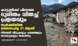 കാട്ടുതീക്ക് പിന്നാലെ ദുരിതം വിതച്ച് പ്രളയവും; തുര്‍ക്കിയില്‍ മരണസംഖ്യ 31 ആയി, നിരവധി വീടുകളും പാലങ്ങളും റോഡുകളും തകര്‍ന്നു
