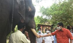 ഗുരുവായൂരിനെ തീര്‍ത്ഥാടന ടൂറിസം കേന്ദ്രമാക്കുന്നത് പരിഗണിക്കും: മന്ത്രി