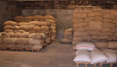 വിഴിഞ്ഞത്ത് റേഷൻ പൂഴ്ത്തിവെപ്പ്; 43 ചാക്കുകളിലായി സൂക്ഷിച്ച അരി, ഗോതമ്പ് പിടിച്ചെടുത്തു വിഴിഞ്ഞത്ത് റേഷൻ പൂഴ്ത്തിവെപ്പ്; 43 ചാക്കുകളിലായി സൂക്ഷിച്ച അരി, ഗോതമ്പ് പിടിച്ചെടുത്തു