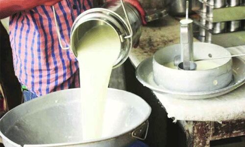 ഓണക്കാല ഊര്ജ്ജിത പാല് പരിശോധന തുടങ്ങി ഓണക്കാല ഊര്ജ്ജിത പാല് പരിശോധന തുടങ്ങി