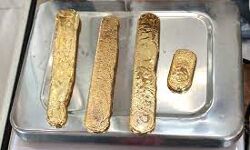 കരിപ്പൂര്‍ വിമാനത്താവളത്തില്‍ കോടികളുടെ സ്വർണ വേട്ട; നാല് പേര്‍ പിടിയില്‍