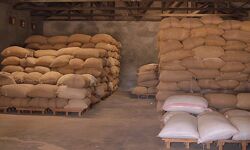 വിഴിഞ്ഞത്ത് റേഷൻ പൂഴ്ത്തിവെപ്പ്; 43 ചാക്കുകളിലായി സൂക്ഷിച്ച അരി, ഗോതമ്പ് പിടിച്ചെടുത്തു