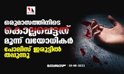 ഒരുമാസത്തിനിടെ കൊല്ലപ്പെട്ടത് മൂന്ന് വയോധികര്‍; പോലിസ് ഇരുട്ടില്‍ തപ്പുന്നു