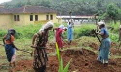 തൊഴിലുറപ്പ് : 75 തൊഴിൽദിനങ്ങൾ പൂർത്തിയാക്കിവർക്ക് 1000രൂപ ഉത്സവബത്ത