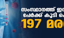 സംസ്ഥാനത്ത് ഇന്ന് 21,116 പേര്‍ക്ക് കൊവിഡ്;   ടെസ്റ്റ് പോസിറ്റിവിറ്റി നിരക്ക് 16.15; മരണം 197