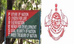 സഹപ്രവര്ത്തകര് വനംവകുപ്പ് ഉദ്യോഗസ്ഥയെ ലൈംഗീകമായി പീഡിപ്പിച്ചു; പരാതി ശരിവച്ച് ഇന്റേനല് കംപ്ലയിന്റ്സ് കമ്മിറ്റി സഹപ്രവര്ത്തകര് വനംവകുപ്പ് ഉദ്യോഗസ്ഥയെ ലൈംഗീകമായി പീഡിപ്പിച്ചു; പരാതി ശരിവച്ച് ഇന്റേനല് കംപ്ലയിന്റ്സ് കമ്മിറ്റി