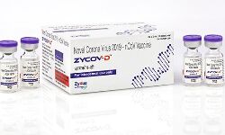 സെഡസ് കാഡിലയുടെ കൊവിഡ് വാക്‌സിന്‍; അടിയന്തര ഉപയോഗത്തിന് അനുമതി നല്‍കാന്‍ ശുപാര്‍ശ