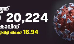 സംസ്ഥാനത്ത് ഇന്ന് 20,224 പേര്‍ക്ക് കൊവിഡ്;   ടെസ്റ്റ് പോസിറ്റിവിറ്റി നിരക്ക് 16.94; മരണം 99