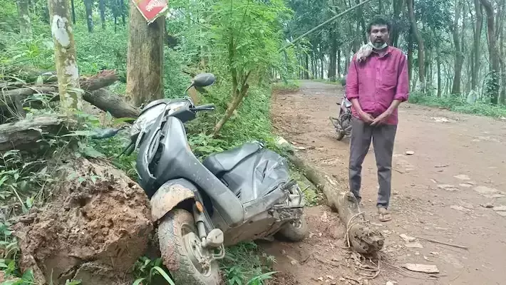 കരുവാരക്കുണ്ടില്‍ ജനവാസ കേന്ദ്രത്തില്‍ കാട്ടാനയിറങ്ങി