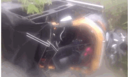 അട്ടപ്പാടിയില്‍ കാട്ടാനയുടെ ആക്രമണത്തില്‍ ഒരാള്‍ക്ക് പരിക്ക്