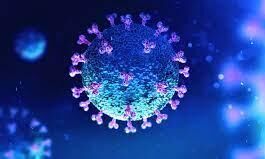 കോഴിക്കോട് ജില്ലയില് 1376 പേര്ക്ക് കൊവിഡ്; രോഗമുക്തി 2795, ടി.പി.ആര് 19.38 % കോഴിക്കോട് ജില്ലയില് 1376 പേര്ക്ക് കൊവിഡ്; രോഗമുക്തി 2795, ടി.പി.ആര് 19.38 %