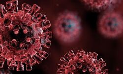 കൊവിഡ് 19: മലപ്പുറം ജില്ലയില്‍ 1,577 പേര്‍ക്ക് വൈറസ്ബാധ; 3,092 പേര്‍ക്ക് രോഗമുക്തി