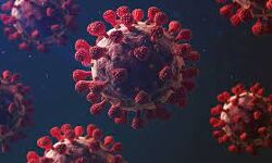 എറണാകുളം ജില്ലയില്‍ 1,101 പേര്‍ക്ക് കൊവിഡ്