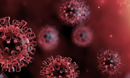 വയനാട്ടില് 265 പേര്ക്ക് കൂടി കൊവിഡ്; ടെസ്റ്റ് പോസിറ്റിവിറ്റി റേറ്റ് 16.76 വയനാട്ടില് 265 പേര്ക്ക് കൂടി കൊവിഡ്; ടെസ്റ്റ് പോസിറ്റിവിറ്റി റേറ്റ് 16.76