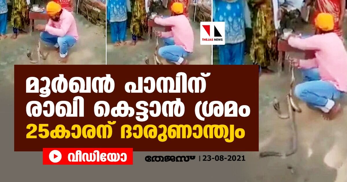 മൂര്‍ഖന്‍ പാമ്പിന് രാഖി കെട്ടാന്‍ ശ്രമം; 25കാരന് ദാരുണാന്ത്യം (വീഡിയോ)