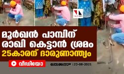 മൂര്‍ഖന്‍ പാമ്പിന് രാഖി കെട്ടാന്‍ ശ്രമം; 25കാരന് ദാരുണാന്ത്യം (വീഡിയോ)