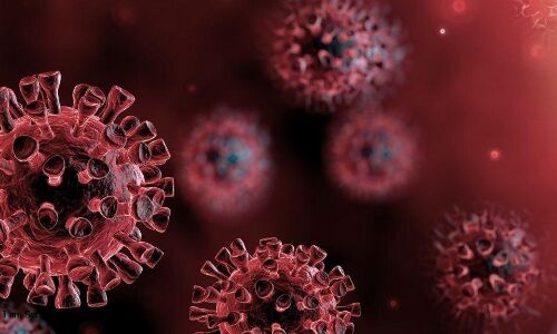 പാലക്കാട് ജില്ലയില്‍ ഇന്ന് 1503 പേര്‍ക്ക് കൊവിഡ്; ടെസ്റ്റ് പോസിറ്റിവിറ്റി നിരക്ക് 19.06