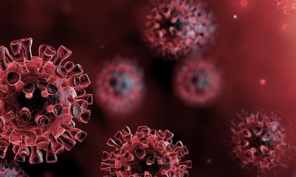 കോഴിക്കോട് ജില്ലയില്‍ ഇന്ന് 2875 പേര്‍ക്ക് കൊവിഡ്; രോഗമുക്തി 2426, ടിപിആര്‍ 19.89%