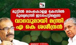 മുട്ടിൽ മരംകൊള്ള കേസിൽ മുഖ്യമന്ത്രി ഇടപെട്ടില്ലെന്ന വാദവുമായി മന്ത്രി എ കെ ശശീന്ദ്രൻ