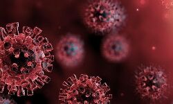 കോഴിക്കോട് ജില്ലയില്‍ ഇന്ന് 2875 പേര്‍ക്ക് കൊവിഡ്; രോഗമുക്തി 2426, ടിപിആര്‍ 19.89%