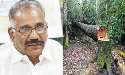 വനംവകുപ്പ് റിപ്പോര്‍ട്ടിന്റെ അടിസ്ഥാനത്തില്‍ മാത്രം നടപടി എടുക്കാനാകില്ല; എകെ ശശീന്ദ്രന്‍