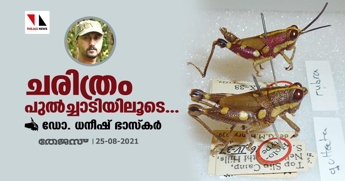 ചരിത്രം പുല്ച്ചാടിയിലൂടെ ചരിത്രം പുല്ച്ചാടിയിലൂടെ