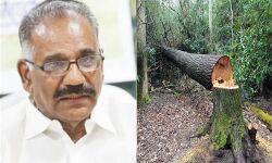 വനംവകുപ്പ് റിപ്പോര്ട്ടിന്റെ അടിസ്ഥാനത്തില് മാത്രം നടപടി എടുക്കാനാകില്ല; എകെ ശശീന്ദ്രന് വനംവകുപ്പ് റിപ്പോര്ട്ടിന്റെ അടിസ്ഥാനത്തില് മാത്രം നടപടി എടുക്കാനാകില്ല; എകെ ശശീന്ദ്രന്