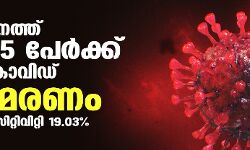 സംസ്ഥാനത്ത് ഇന്ന് 31,445 പേര്‍ക്ക് കൊവിഡ്;   ടെസ്റ്റ് പോസിറ്റിവിറ്റി നിരക്ക് 19.03; മരണം 215