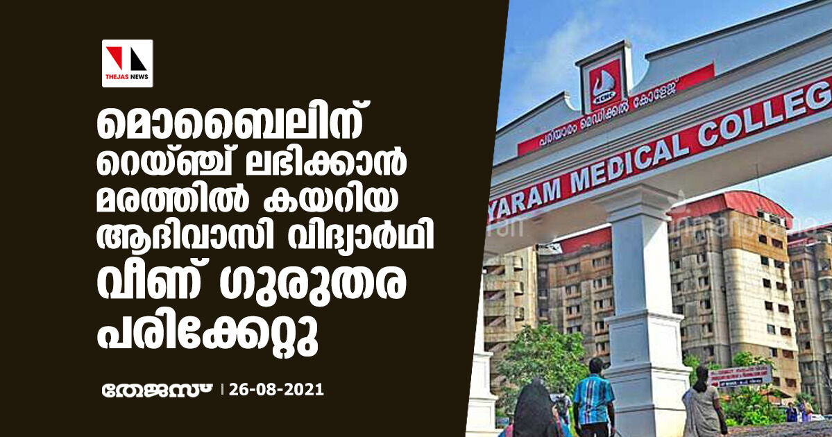 മൊബൈലിന് റെയ്ഞ്ച് ലഭിക്കാന്‍ മരത്തില്‍ കയറിയ ആദിവാസി വിദ്യാര്‍ഥി വീണ് ഗുരുതര പരിക്കേറ്റു