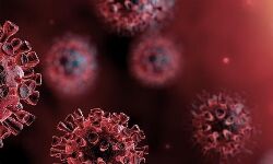 കോഴിക്കോട് ജില്ലയില്‍ 3461 പേര്‍ക്ക് കൊവിഡ്; രോഗമുക്തി 2366, ടിപിആര്‍ 19 .37%