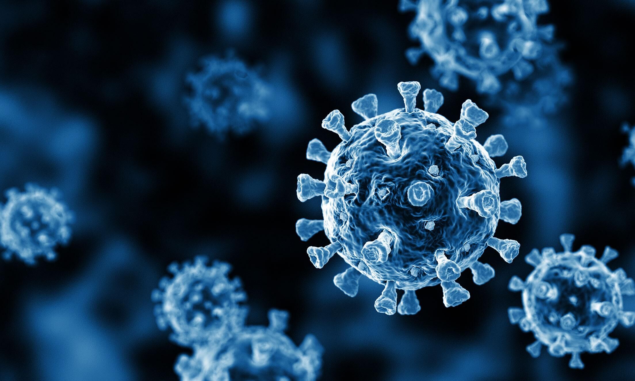 കോഴിക്കോട് ജില്ലയില് ഇന്ന് 1916 കൊവിഡ്; ടിപിആര് 18.69% കോഴിക്കോട് ജില്ലയില് ഇന്ന് 1916 കൊവിഡ്; ടിപിആര് 18.69%