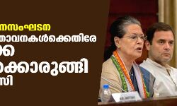 ഡിസിസി പുനസംഘടന; പരസ്യ പ്രസ്താവനകൾക്കെതിരേ അച്ചടക്ക നടപടിക്കൊരുങ്ങി എഐസിസി