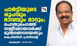 പാർട്ടിയുടെ രൂപവും ഭാവവും മാറും; പൊതുരം​ഗത്ത് സജീവമായവർക്ക് മുൻ​ഗണനയെന്നും കെപിസിസി പ്രസിഡന്റ്