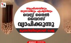 ആഫ്രിക്കയിലും യൂറോപ്പിലും ഏഷ്യയിലും വെസ്റ്റ് നൈല്‍ വൈറസ് വ്യാപിക്കുന്നു; മുന്നറിയിപ്പുമായി റഷ്യ