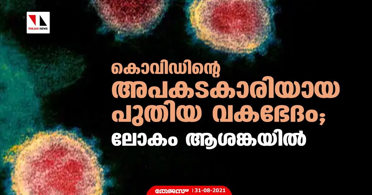 കൊവിഡിന്റെ അപകടകാരിയായ പുതിയ വകഭേദം; ലോകം ആശങ്കയില് കൊവിഡിന്റെ അപകടകാരിയായ പുതിയ വകഭേദം; ലോകം ആശങ്കയില്