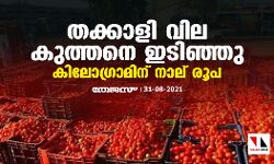 തക്കാളി വില കുത്തനെ ഇടിഞ്ഞു; കിലോഗ്രാമിന് നാല് രൂപ തക്കാളി വില കുത്തനെ ഇടിഞ്ഞു; കിലോഗ്രാമിന് നാല് രൂപ