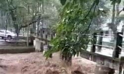 പൂഞ്ചോല ഓടക്കുന്ന് വനത്തിലും ഉരുള്‍പൊട്ടല്‍; ഓടക്കുന്ന് പാലം തകര്‍ന്നു