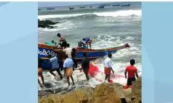 เด
เดดเตเดเตเดเดฒเดฟเดฒเตโ เดคเดฟเดฐเดฏเดฟเดฒเตโเดชเตเดชเตเดเตเดเต เดตเดณเตเดณเด เดฎเดฑเดฟเดเตเดเต; เดจเดพเดฒเต เดฎเดฐเดฃเด, 12 เดชเตเดฐเตโ เดเดถเตเดชเดคเตเดฐเดฟเดฏเดฟเดฒเตโ เด
เดดเตเดเตเดเดฒเดฟเดฒเตโ เดคเดฟเดฐเดฏเดฟเดฒเตโเดชเตเดชเตเดเตเดเต เดตเดณเตเดณเด เดฎเดฑเดฟเดเตเดเต; เดจเดพเดฒเต เดฎเดฐเดฃเด, 12 เดชเตเดฐเตโ เดเดถเตเดชเดคเตเดฐเดฟเดฏเดฟเดฒเตโ