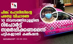 പിങ്ക് പോലിസിന്റെ പരസ്യ വിചാരണ:10 ദിവസത്തിനുള്ളിൽ റിപോർട്ട് സമർപ്പിക്കണമെന്ന് പട്ടികജാതി കമ്മീഷൻ
