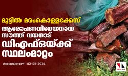 മുട്ടിൽ മരംകൊള്ളക്കേസ്: ആരോപണവിധേയനായ സൗത്ത് വയനാട് ഡിഎഫ്ഒയ്ക്ക് സ്ഥലംമാറ്റം