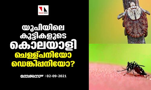 യുപിയിലെ കുട്ടികളുടെ കൊലയാളി ചെള്ള്പനിയോ ഡെങ്കിപ്പനിയോ?