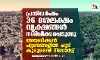 പ്രതിവര്‍ഷം 36 ദശലക്ഷം വൃക്ഷങ്ങള്‍ നശിപ്പിക്കപ്പെടുന്നു; അമേരിക്കന്‍ പട്ടണങ്ങളില്‍ ചൂട് കൂടുമെന്ന് റിപ്പോര്‍ട്ട്